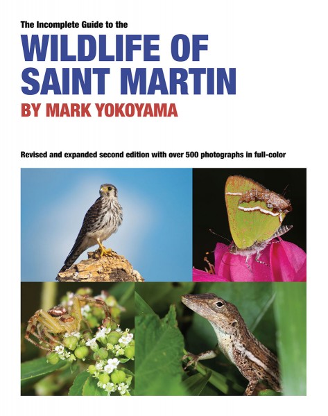 2nd-ed-guide-cover-web