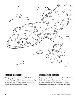 AAM-Spotted-Woodslave
