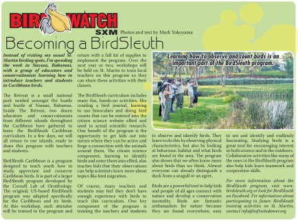 BirdWatch-BirdSleuth-web