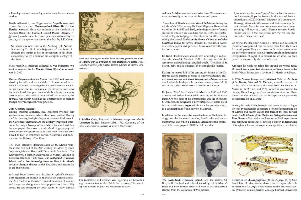 historysection